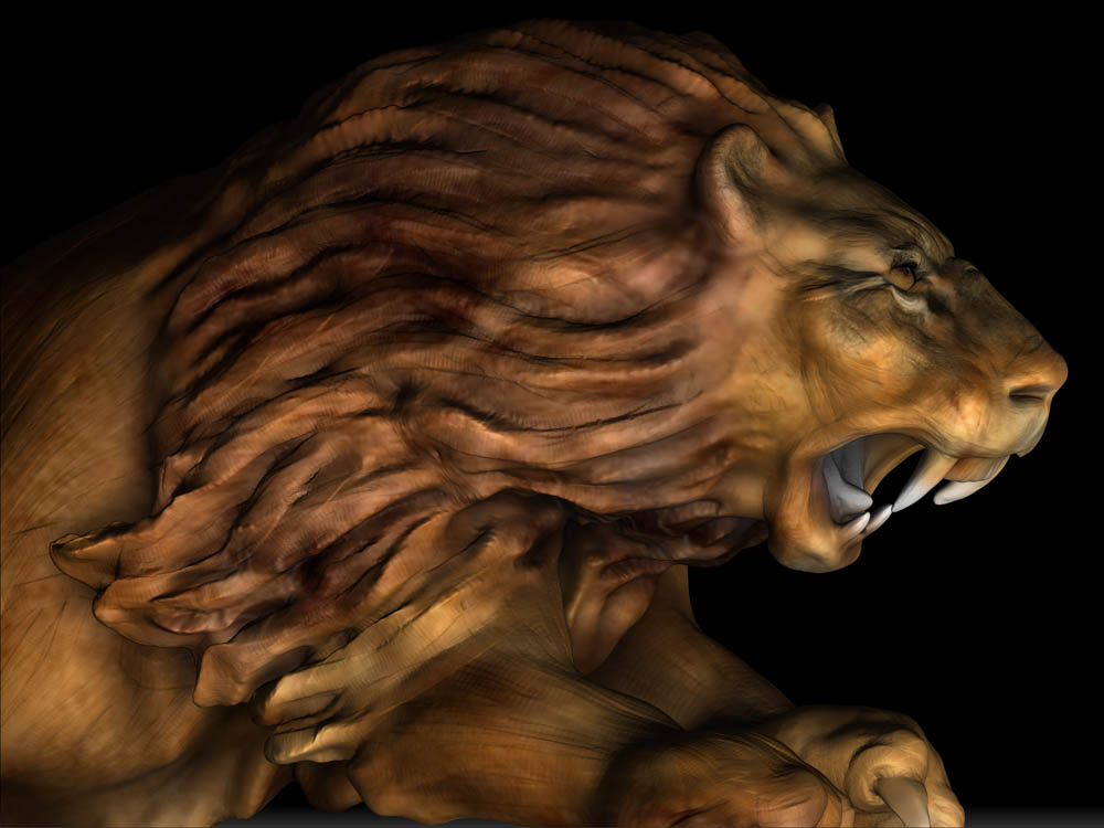 LION 24.jpg
