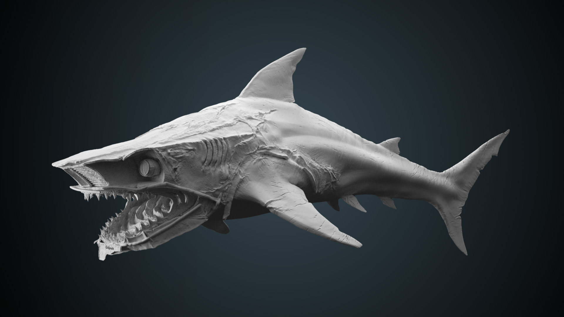 hammerhead shark - ZBrushCentral