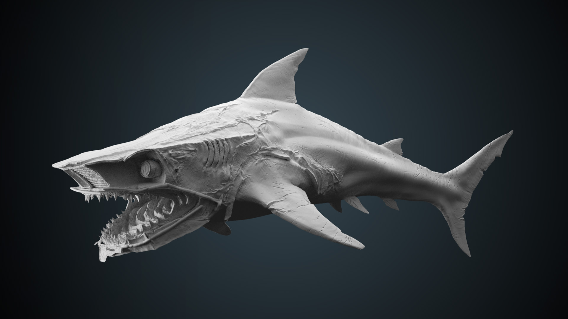 sculpt_01_shark.jpg