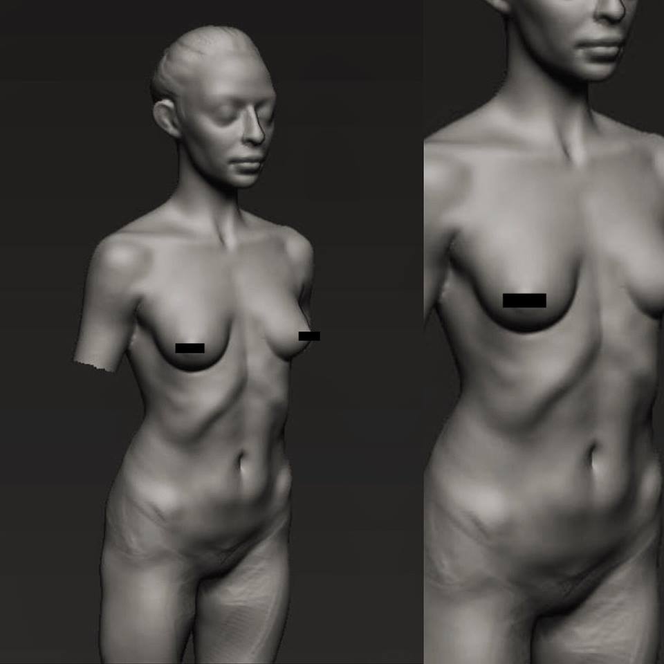 female_anatomy.jpg