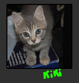 kiki.jpg