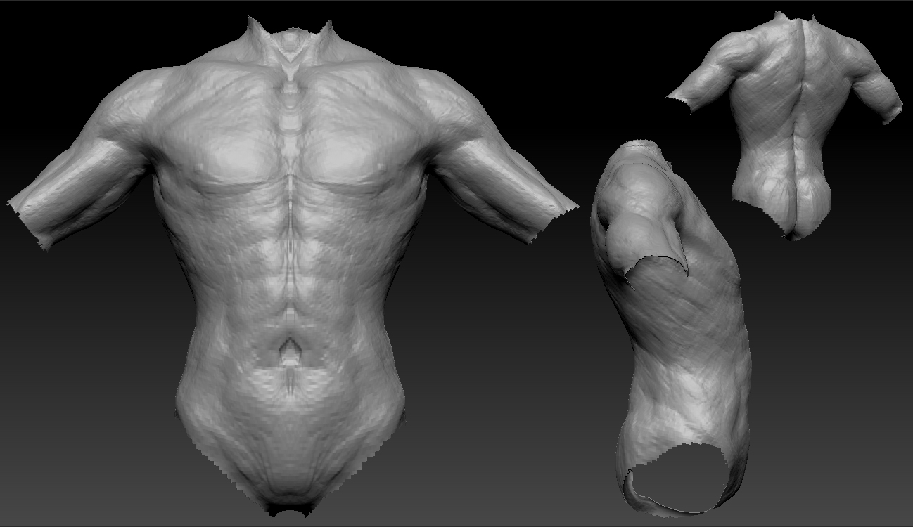 torso.jpg