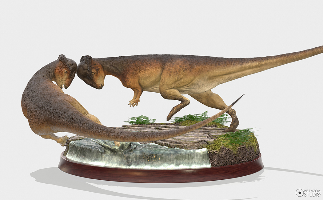 Stegoceras_color_vista%204