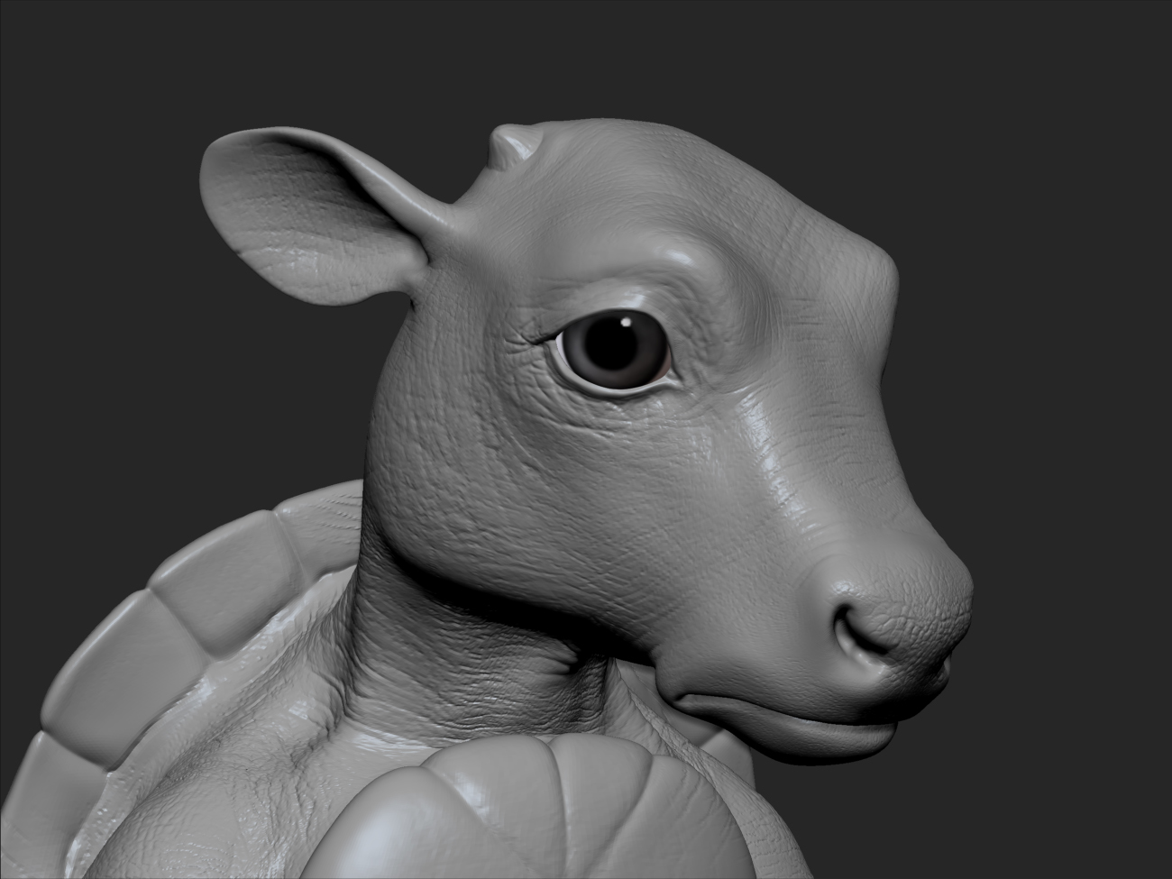 MockTurtle_Close_02.jpg