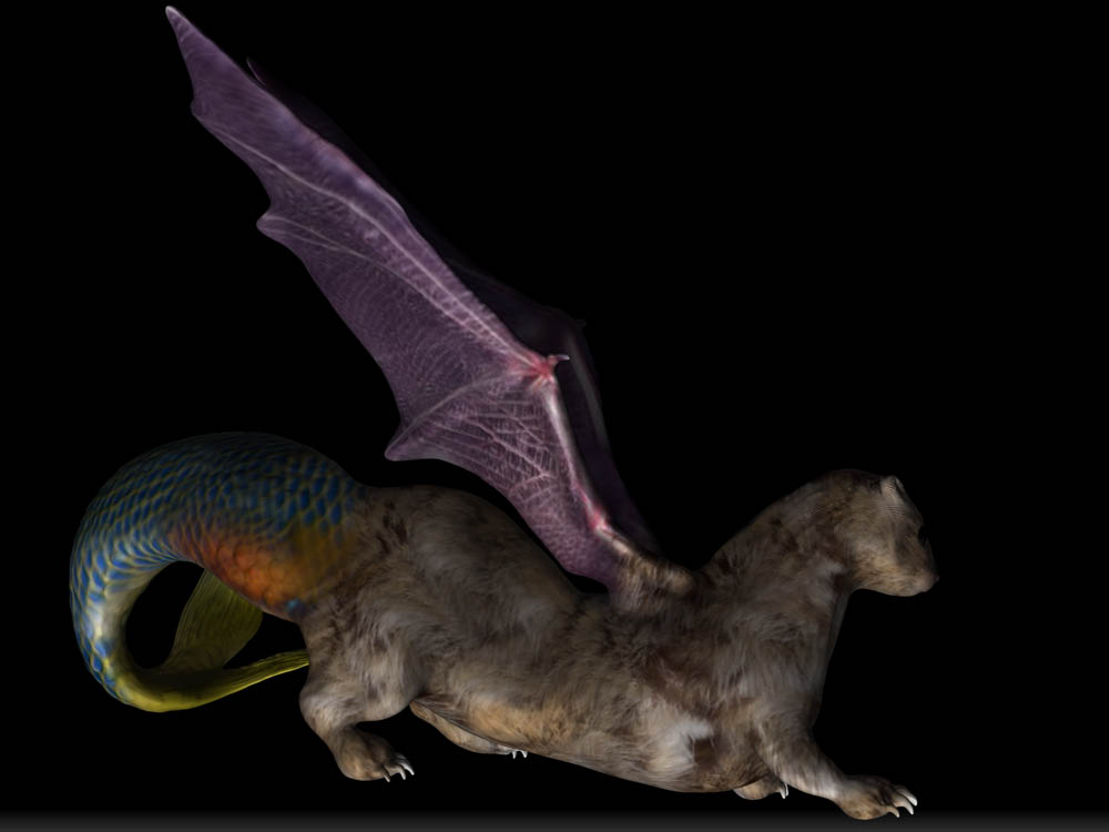 ERMIN BATFISH 35.jpg