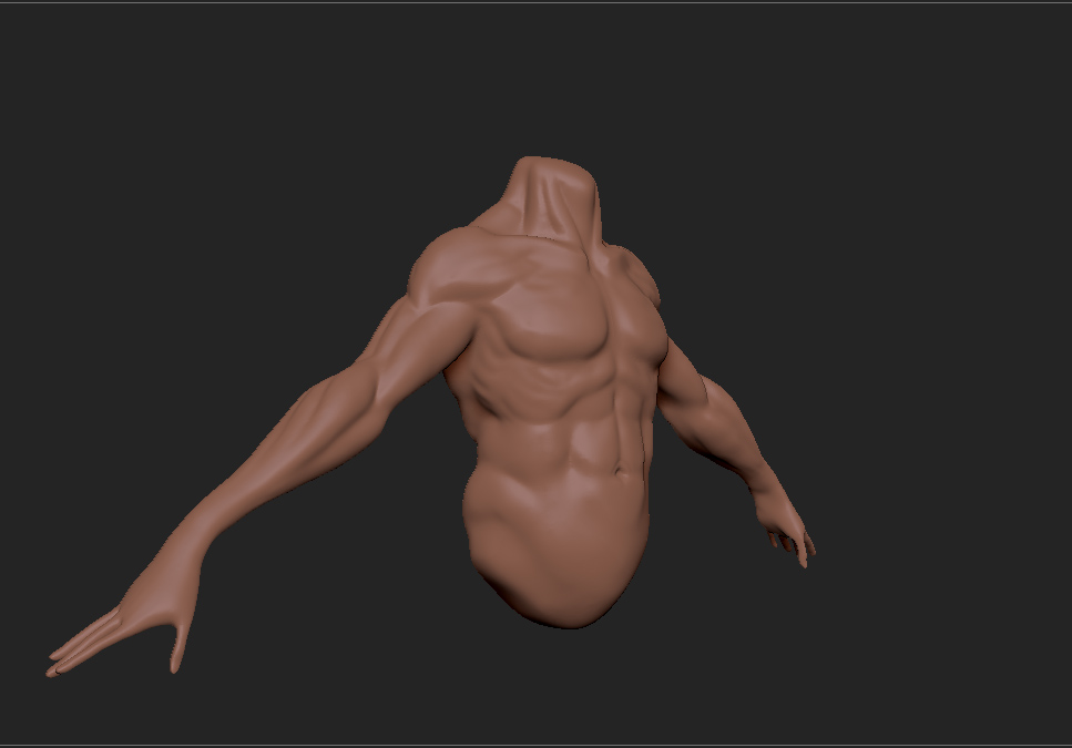 anatomicalStudy.jpg