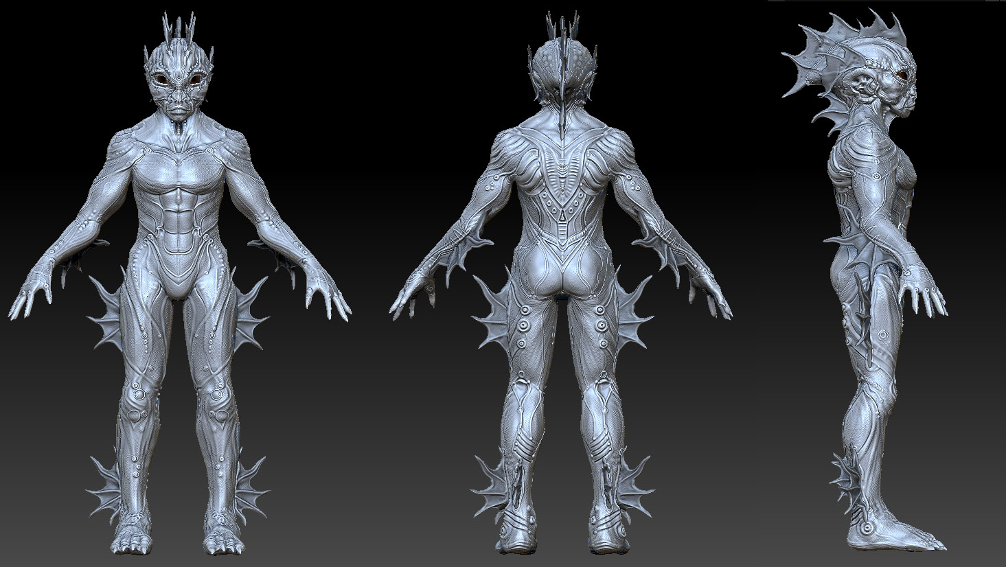 FishmanWIP2 copy.jpg