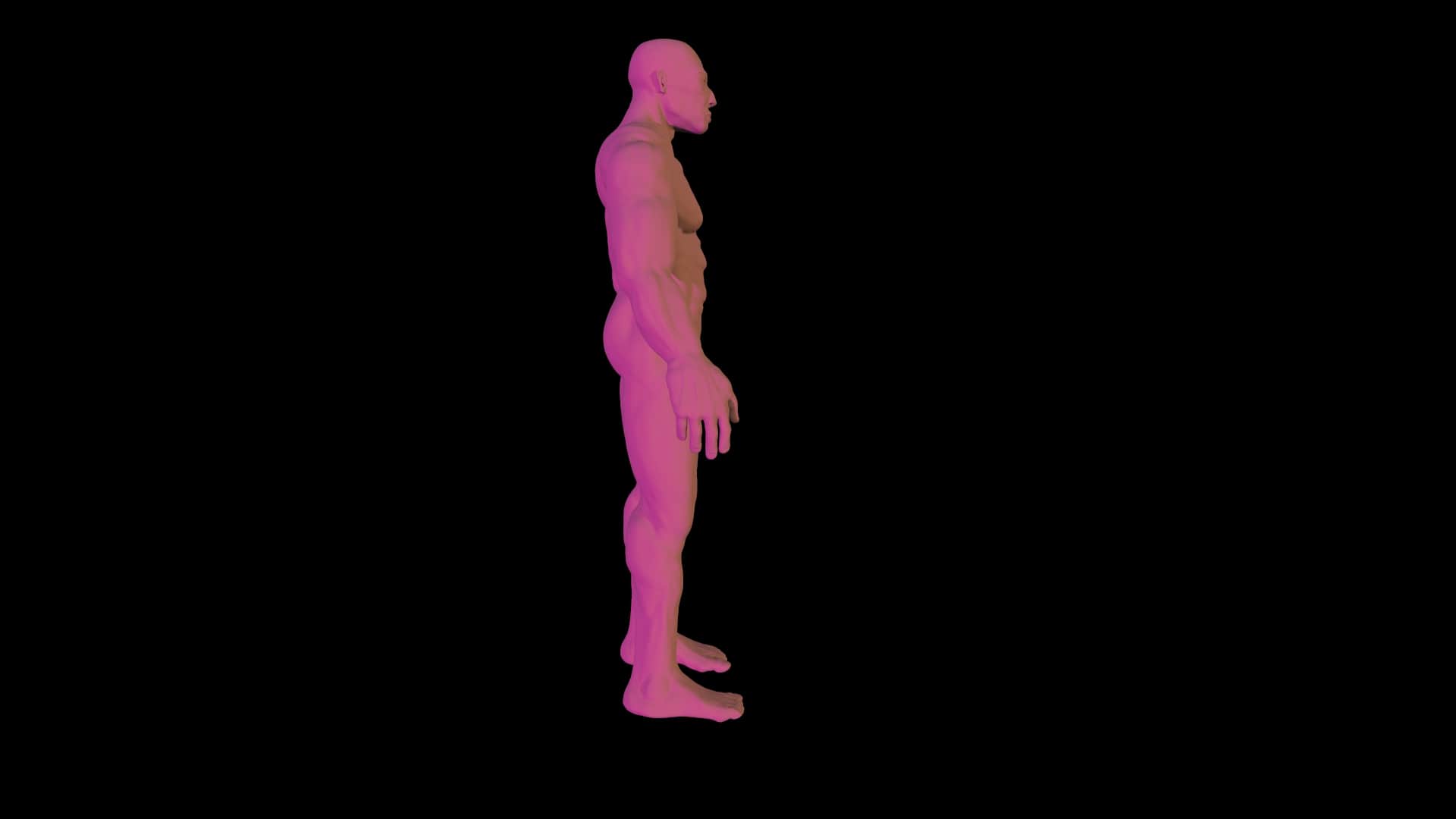 screenshot002.jpg