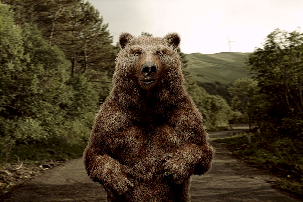 Bear02.jpg