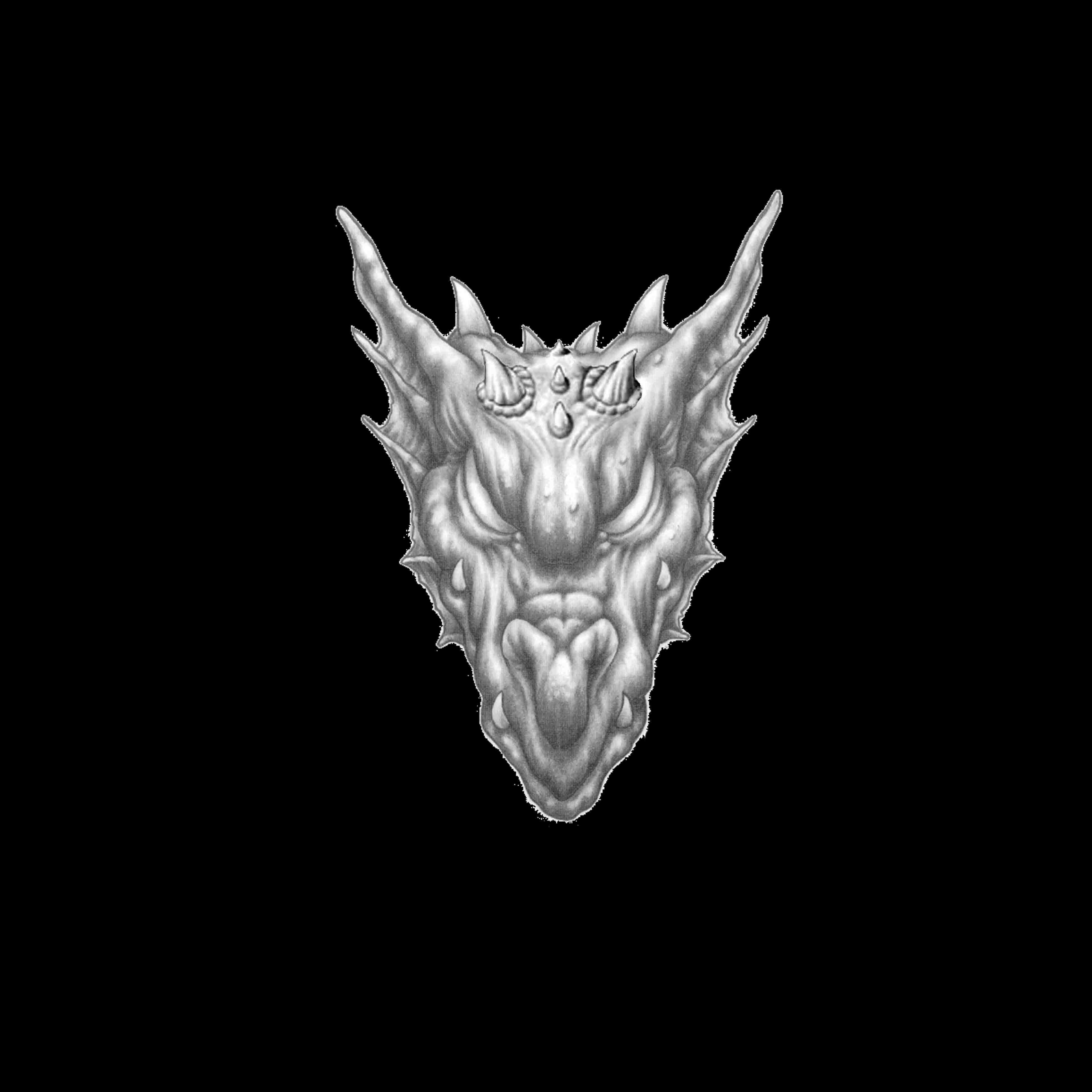 front view start.jpg