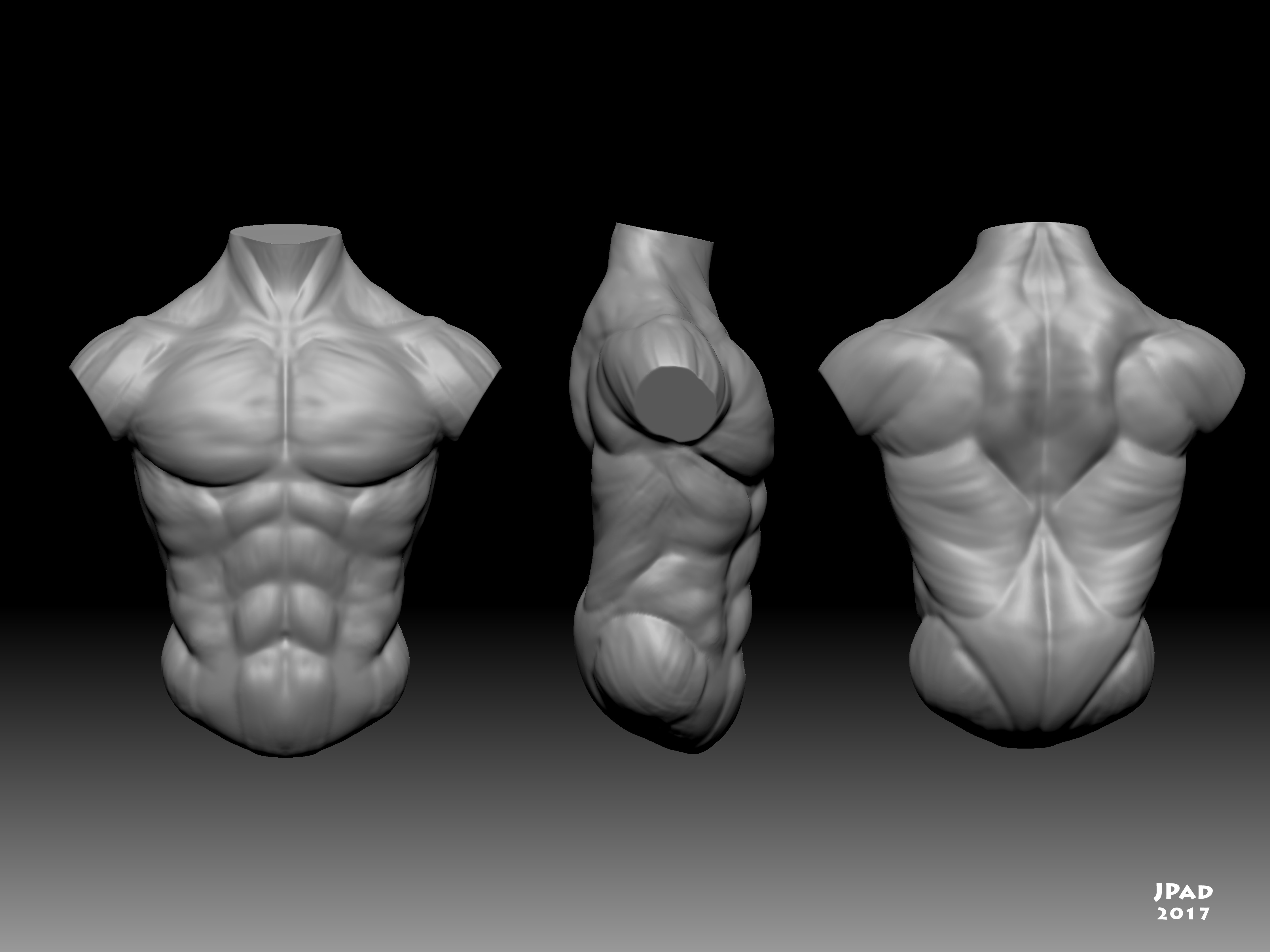 Torso_Study_JPad_2017_Lighting_02.jpg