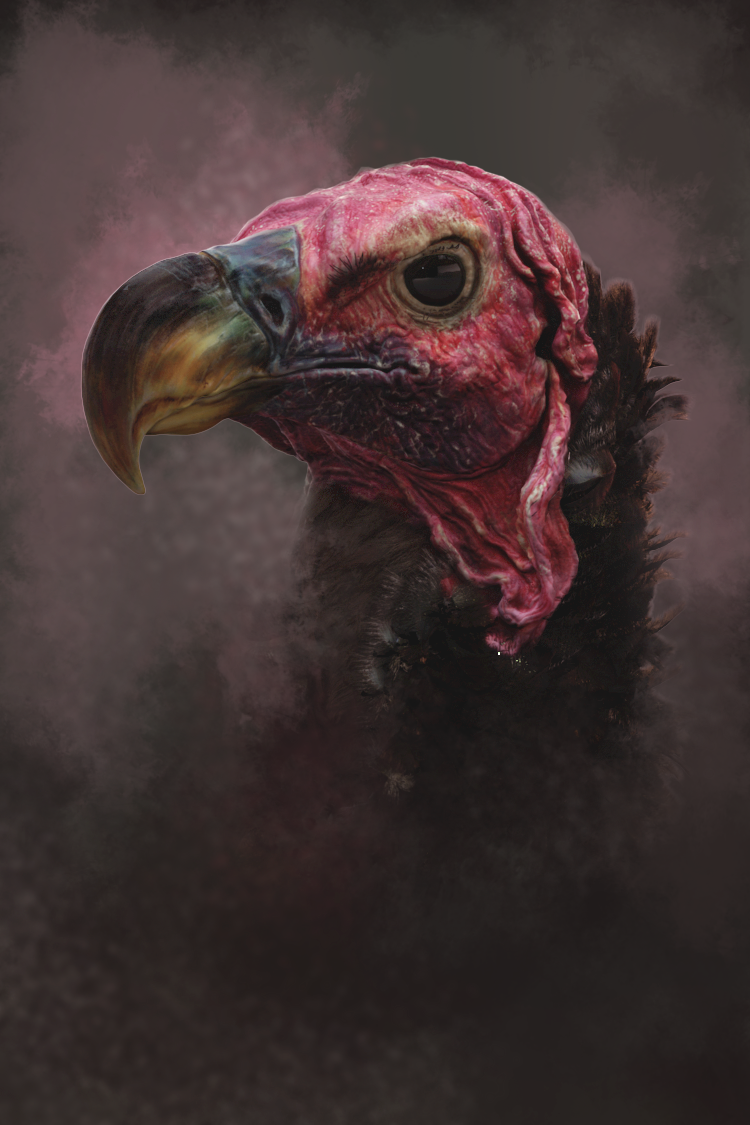 Vulture_Render