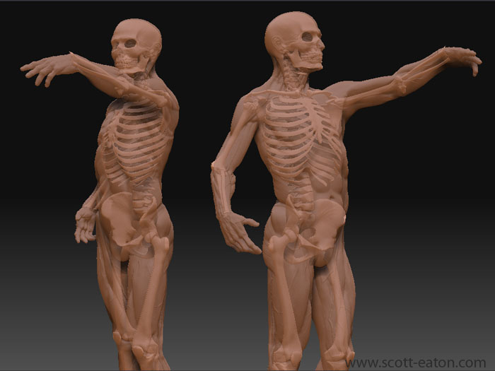 ecorcheZbrush-723429.jpg