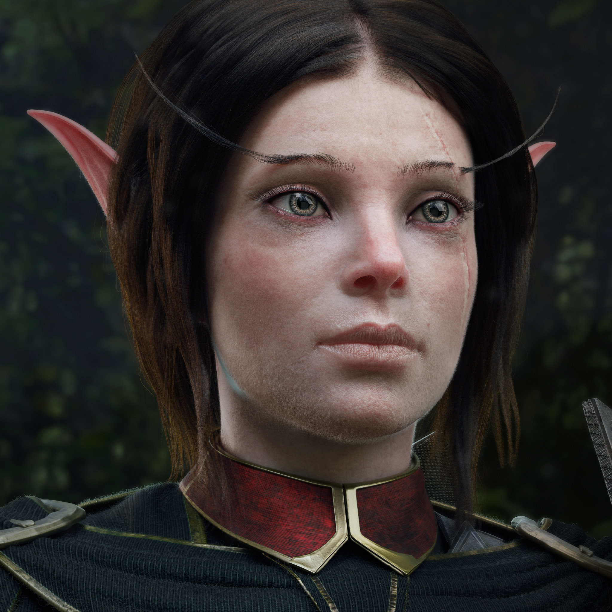 Closeup2_01.jpg