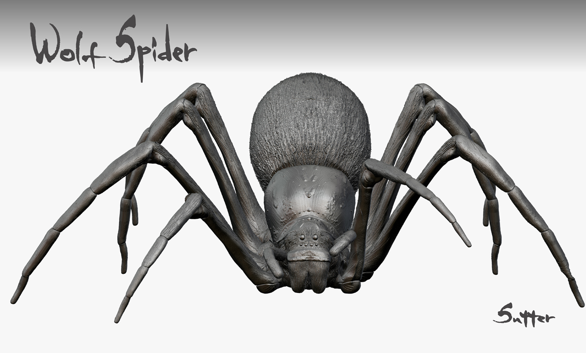 Spiderposed2.jpg