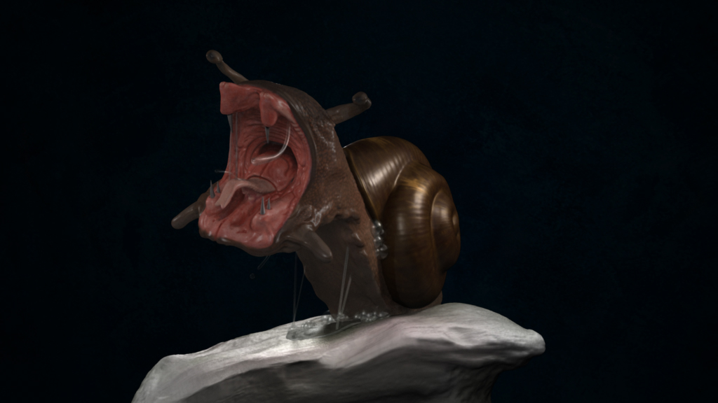 Vicious_Snail_2.jpg