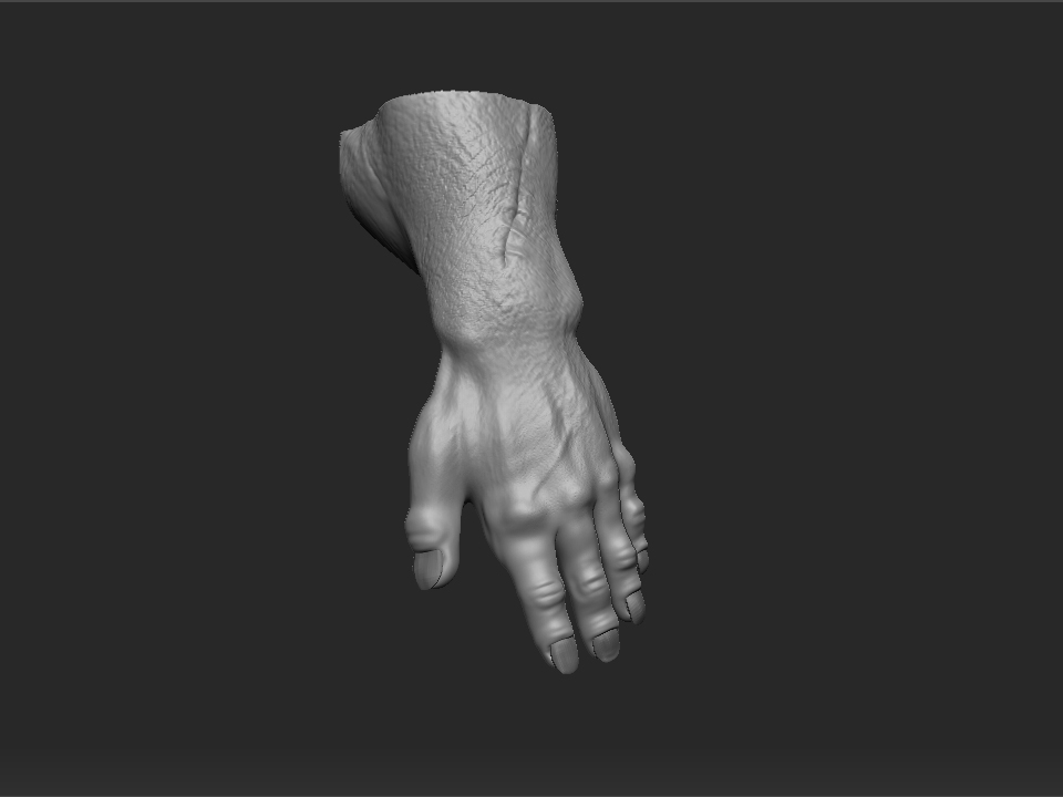 hand_detail.jpg