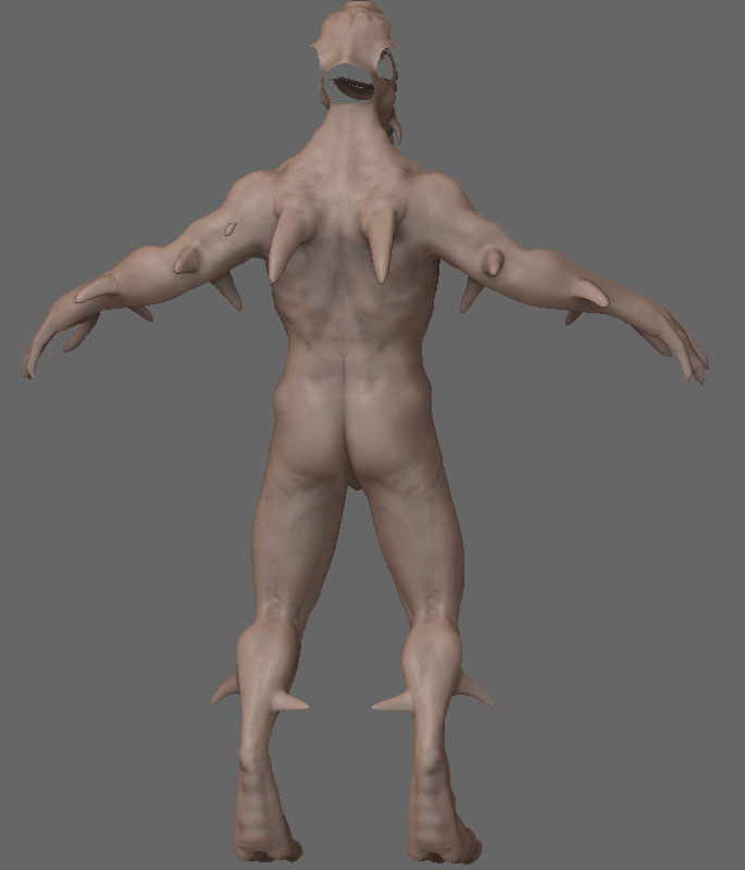 Back.jpg