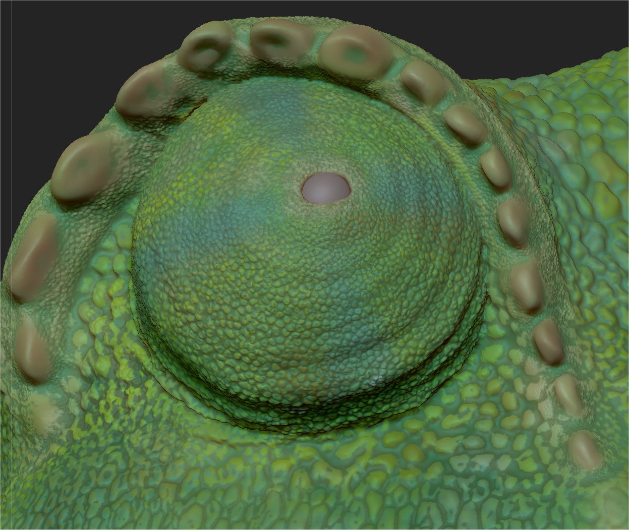 Rango_Detailshot.jpg