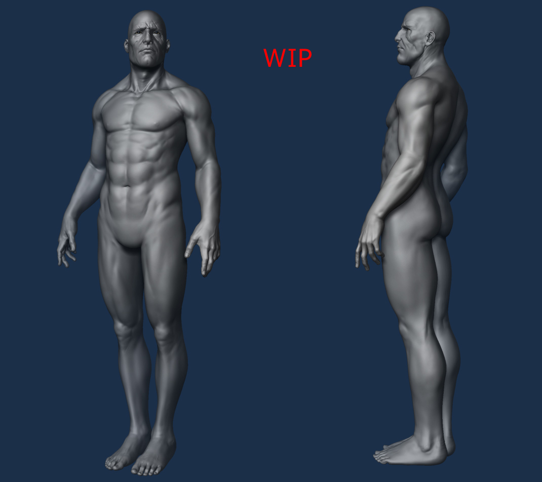 wip11 copy.jpg