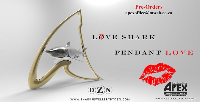 dzn apex Simple elegant shark pendant BRONZE.jpg