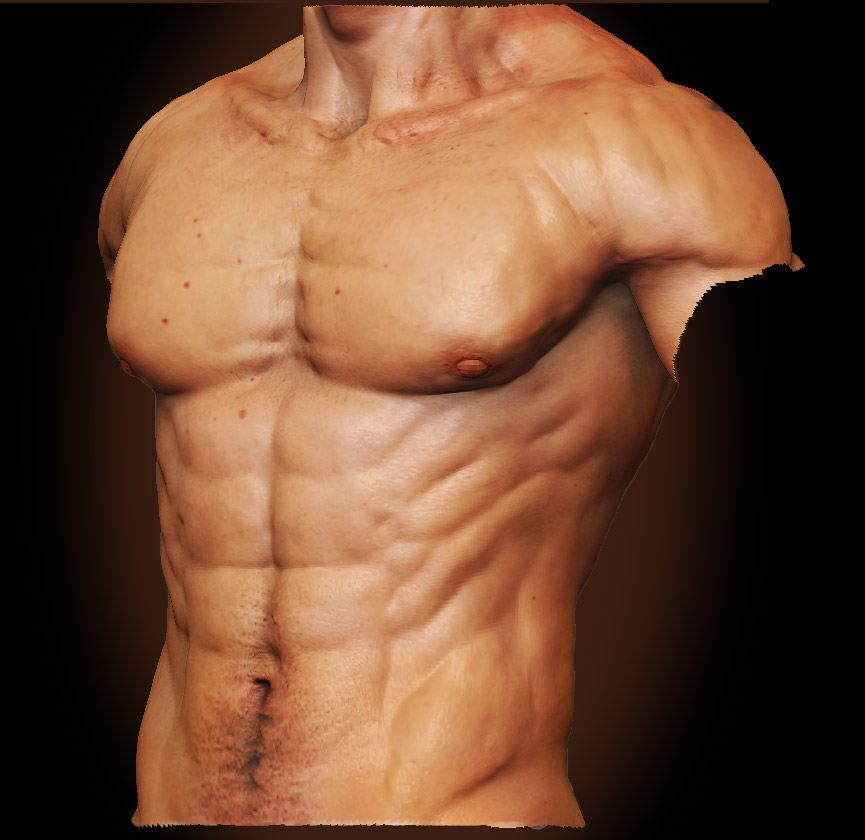 MaleAnatomyFront02.jpg