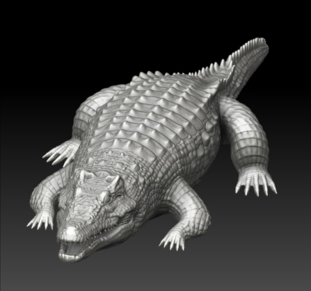 Crocmodel2.jpg