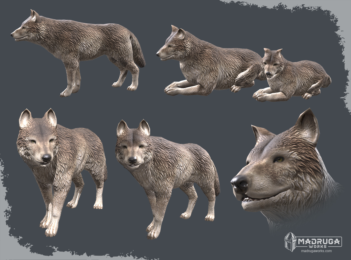 wolf