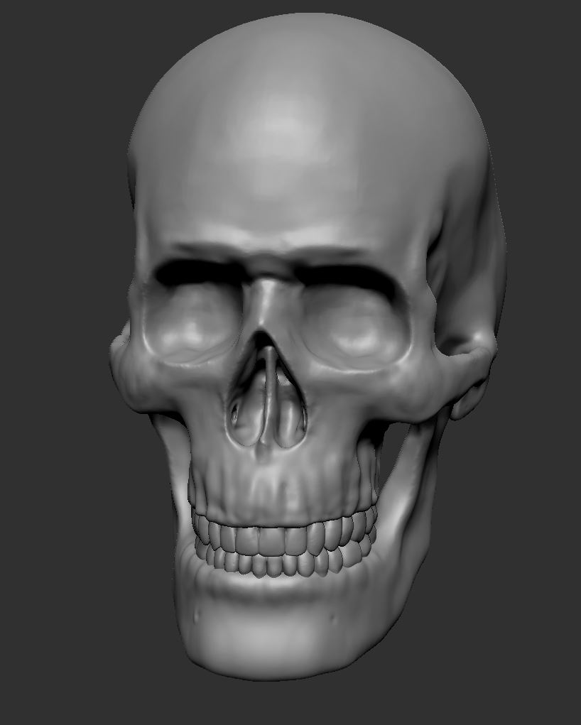 skull_1.JPG