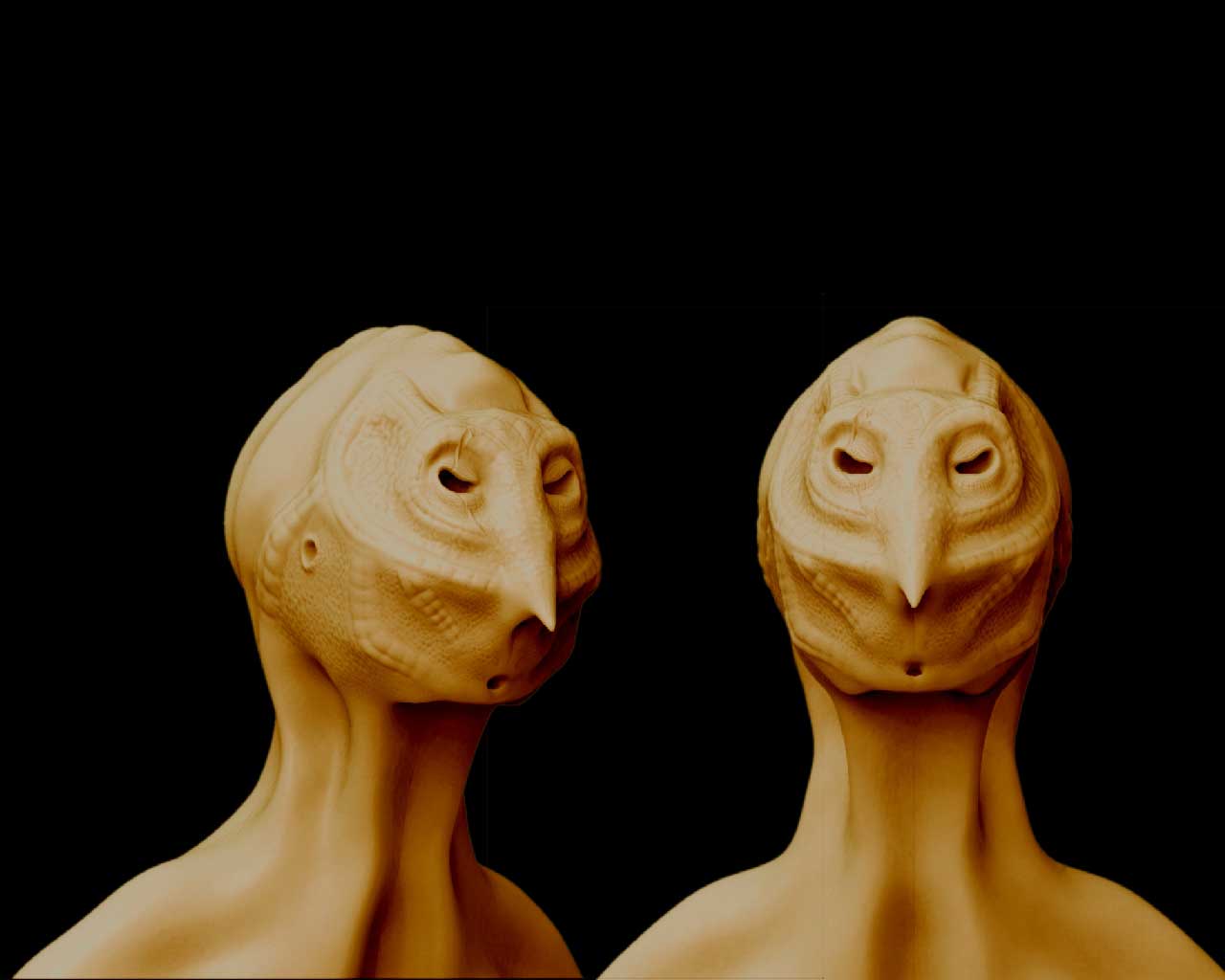 backms6.jpg