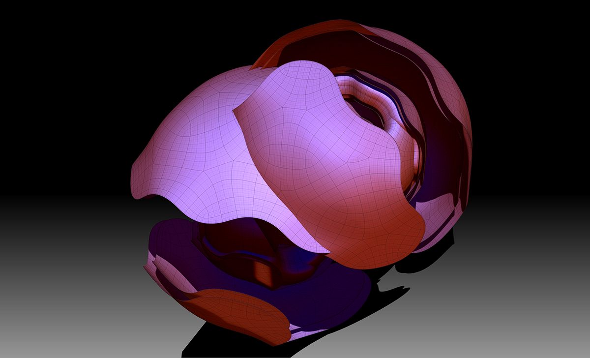 clamShell.jpg