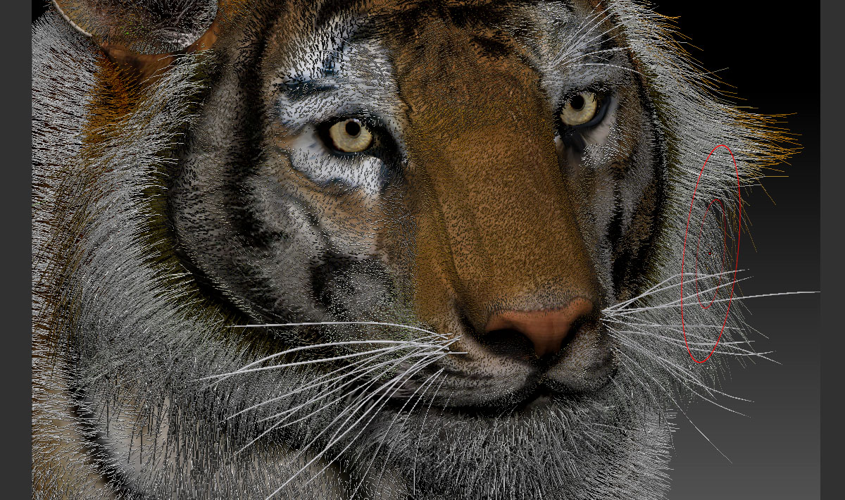 Tiger_ZB3.jpg