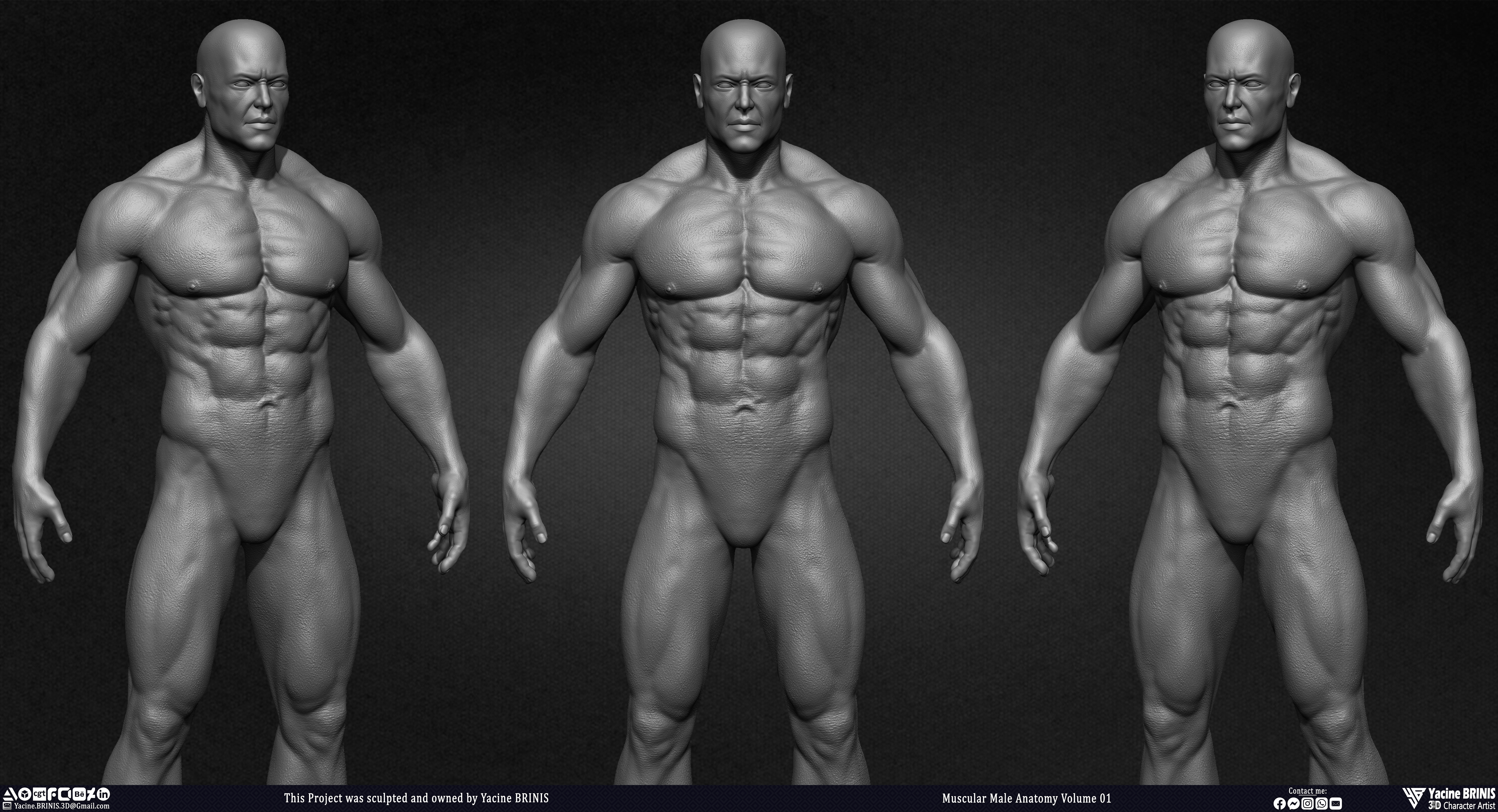 Muscular Male Anatomy 3D Character sculpted by Yacine BRINIS 002