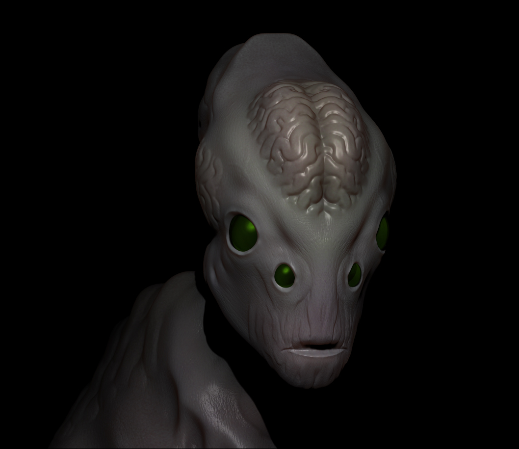the elder headshot.jpg