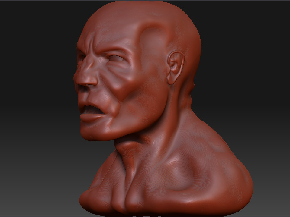 HEAD_1.jpg