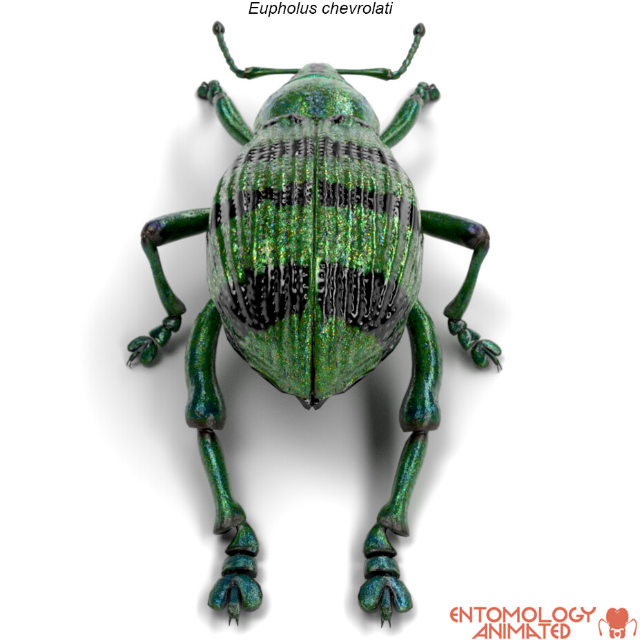 eric-keller-e-chevrolati-render-06