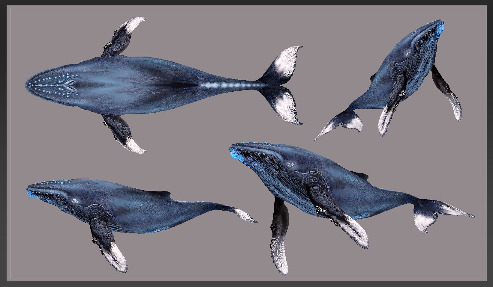 whale paint 1.jpg