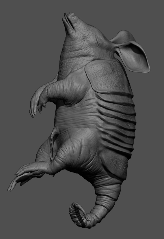 Tatusia_3479_Zbrush02.jpg