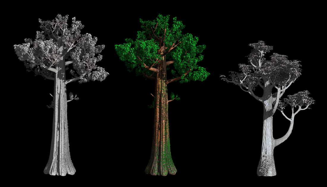 trees1100