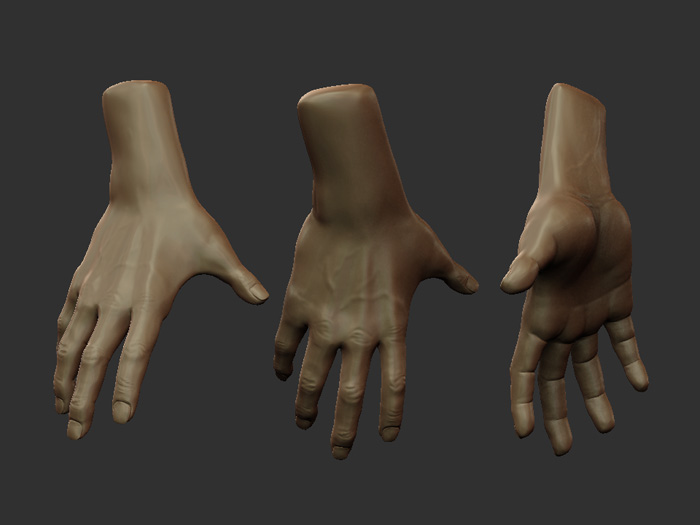 handstudy.jpg