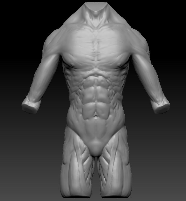 Torso1.JPG