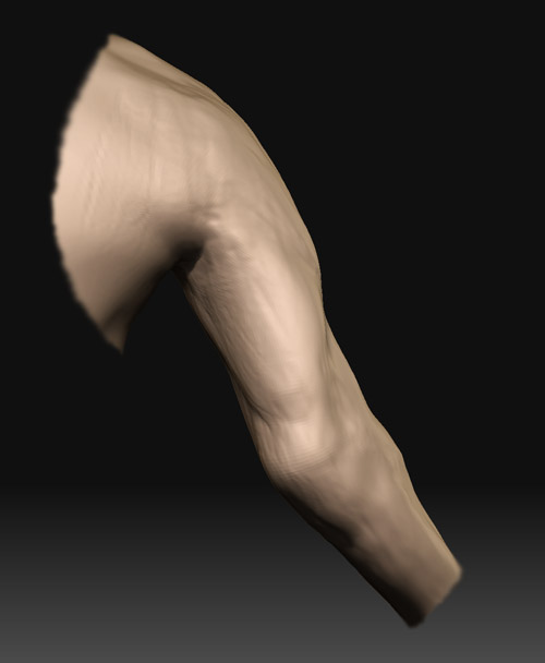 arm_back_1.jpg
