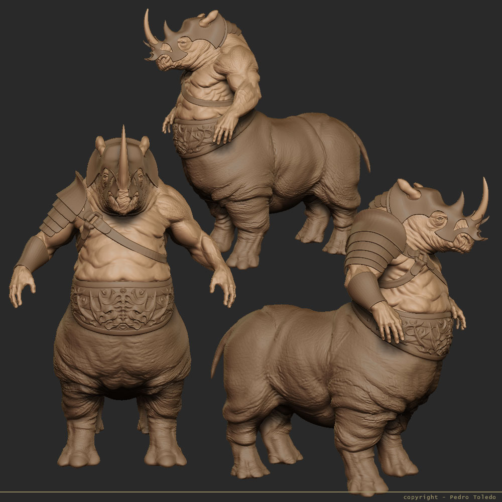 rhino-08.jpg