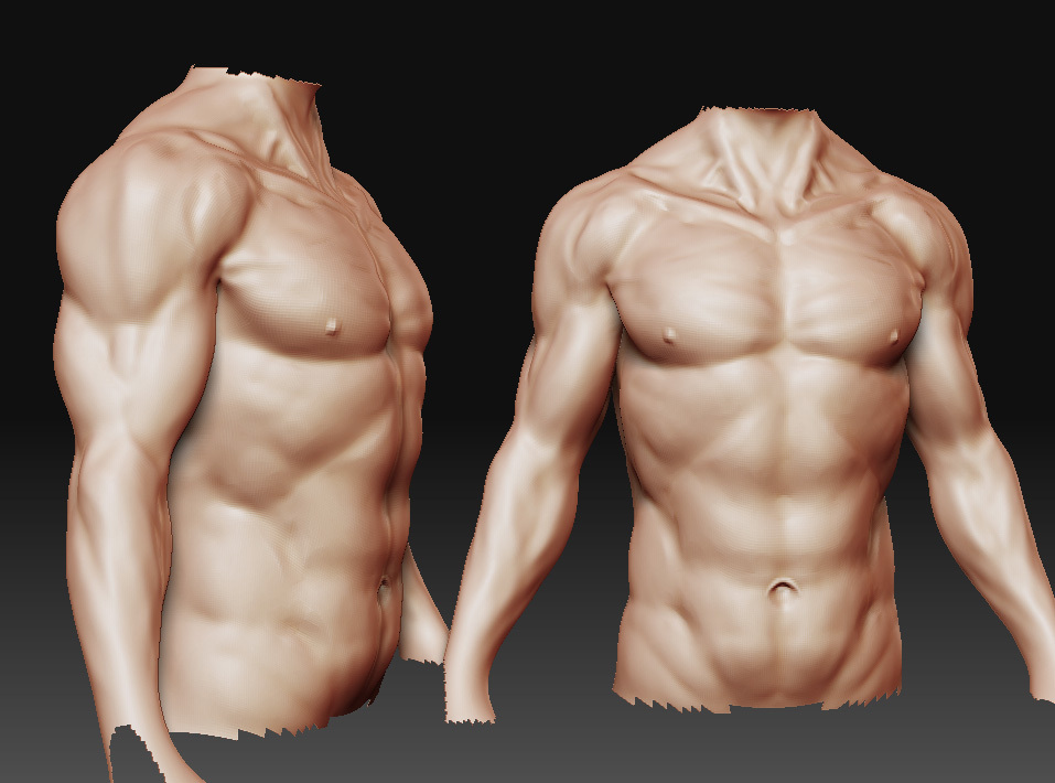 torso_2.jpg
