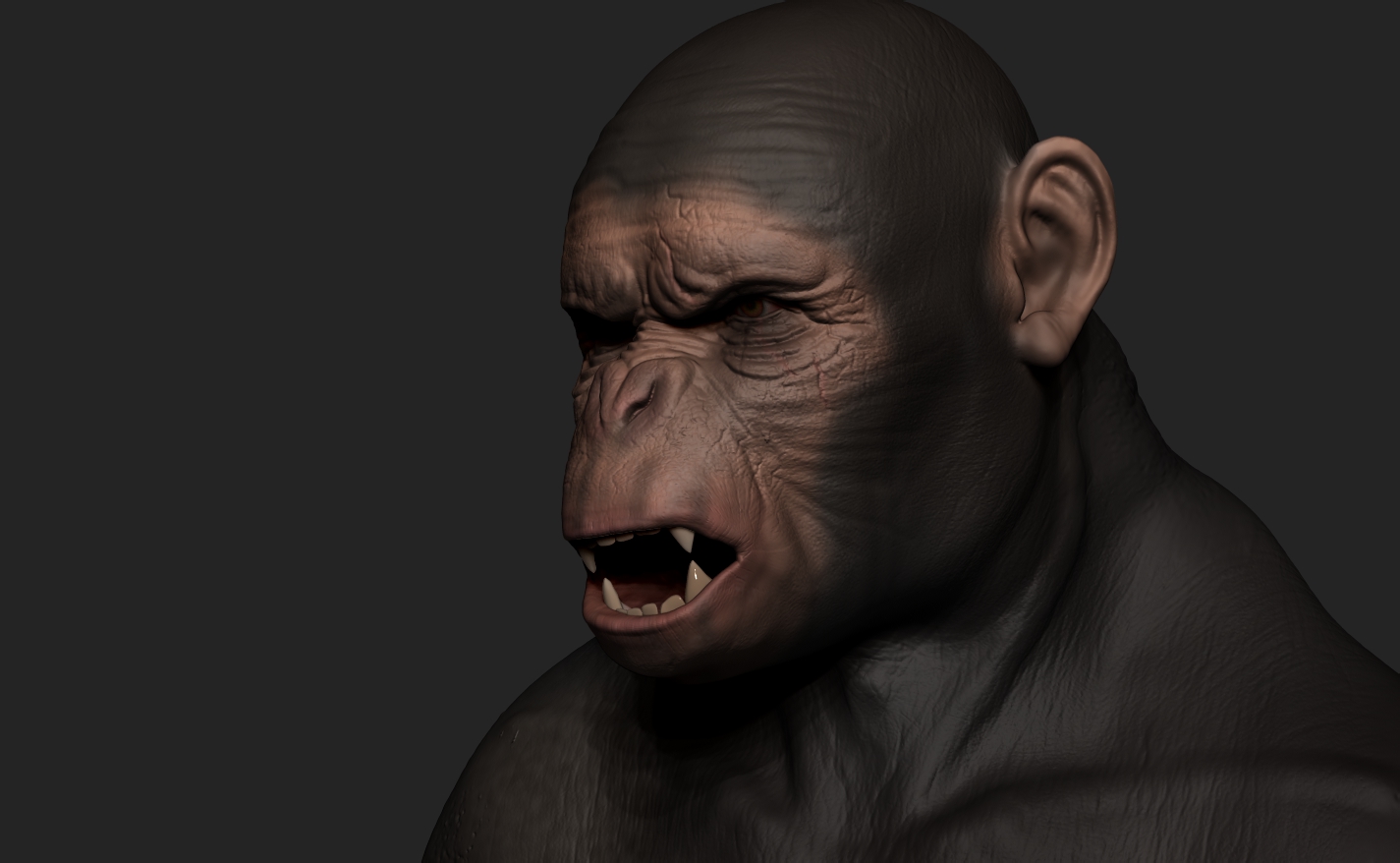 Ape_3.jpg