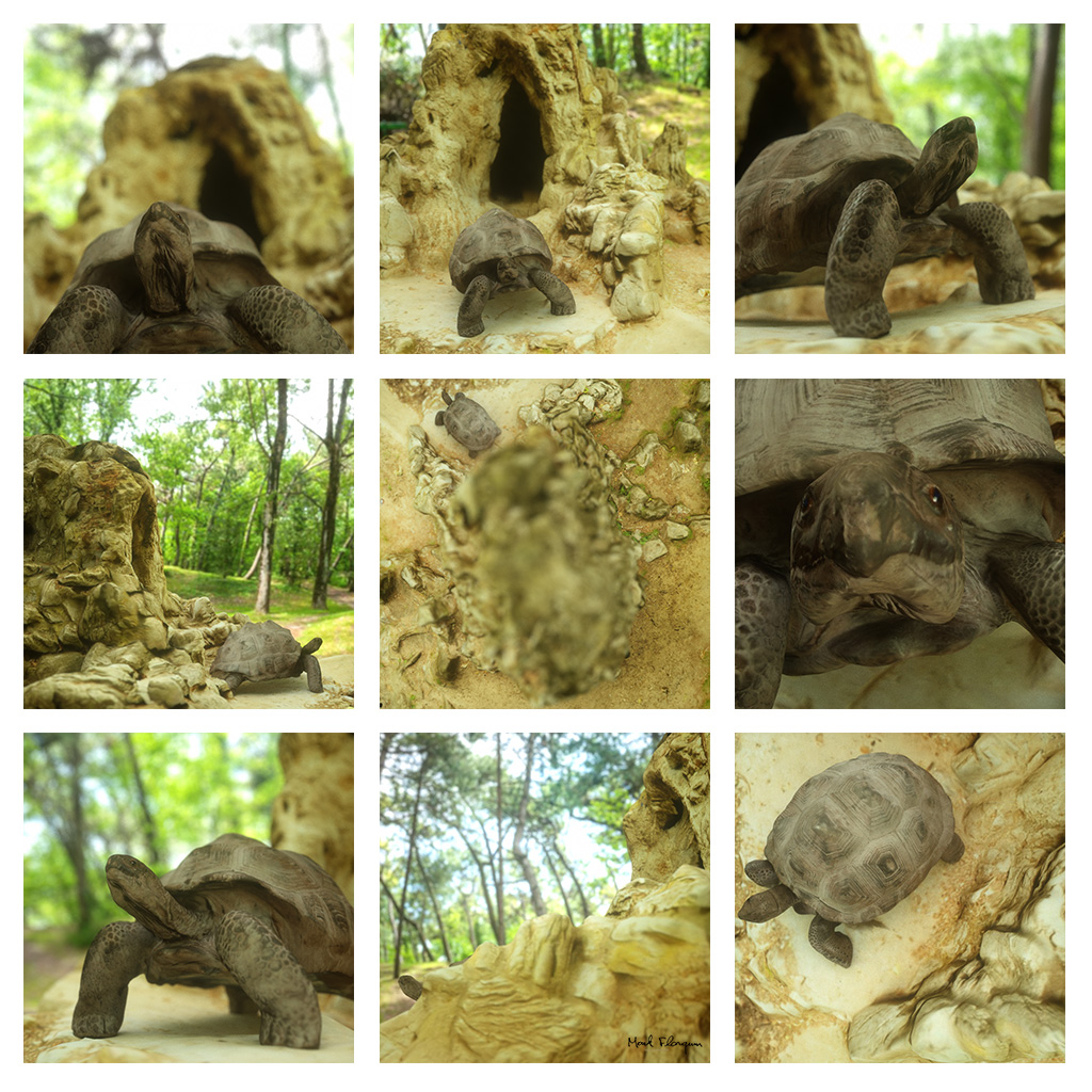 Turtle-Cave-Scene.jpg