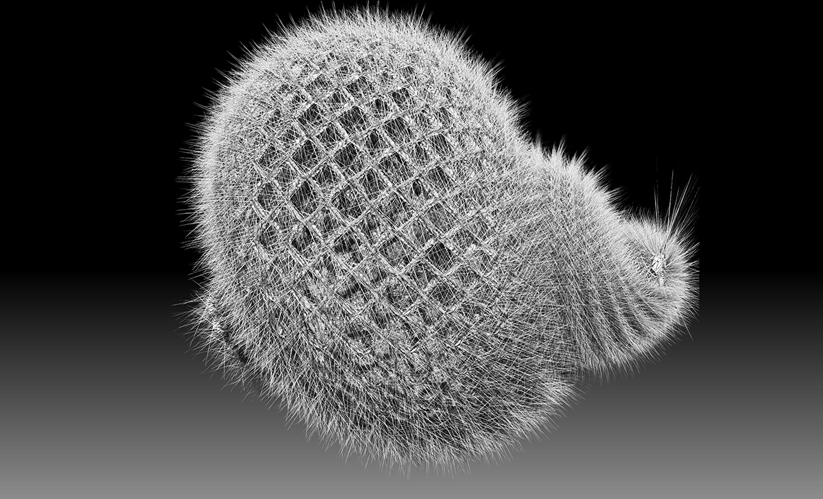 fuzzy.jpg