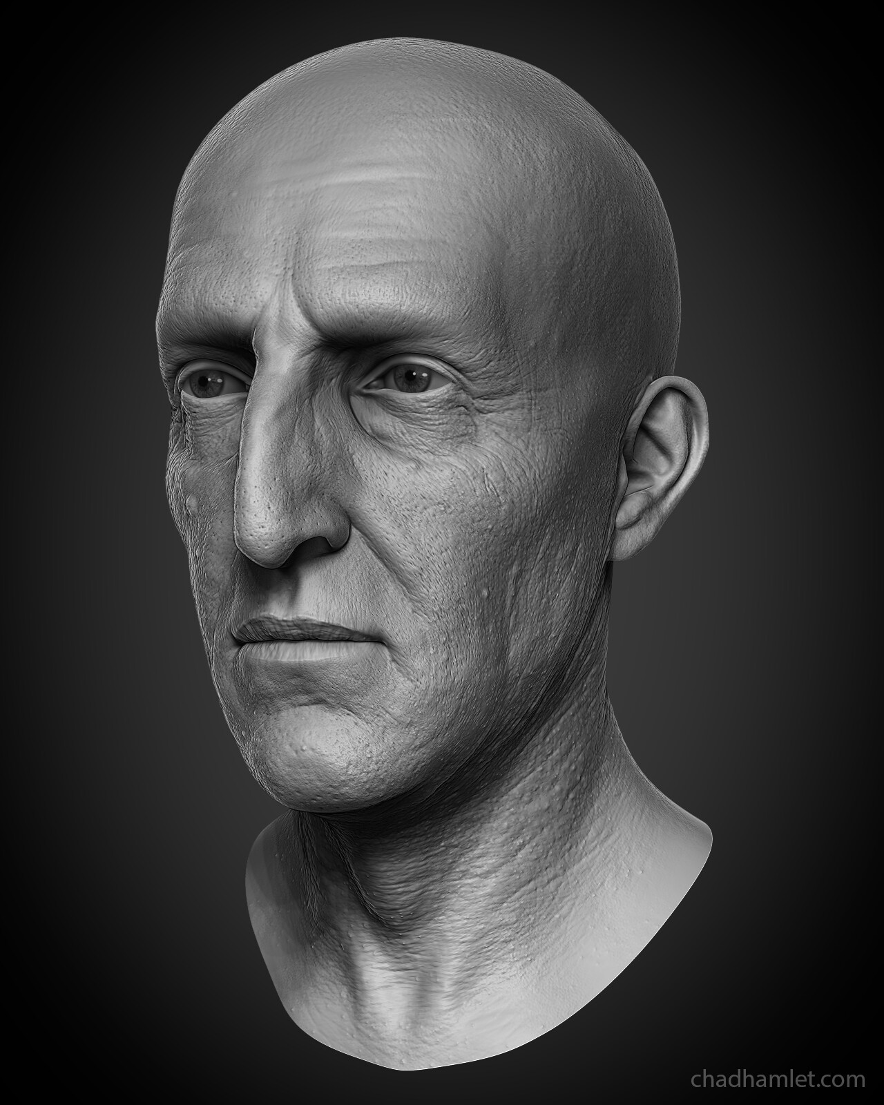 chx-hamlet-chadoldman-02.jpg