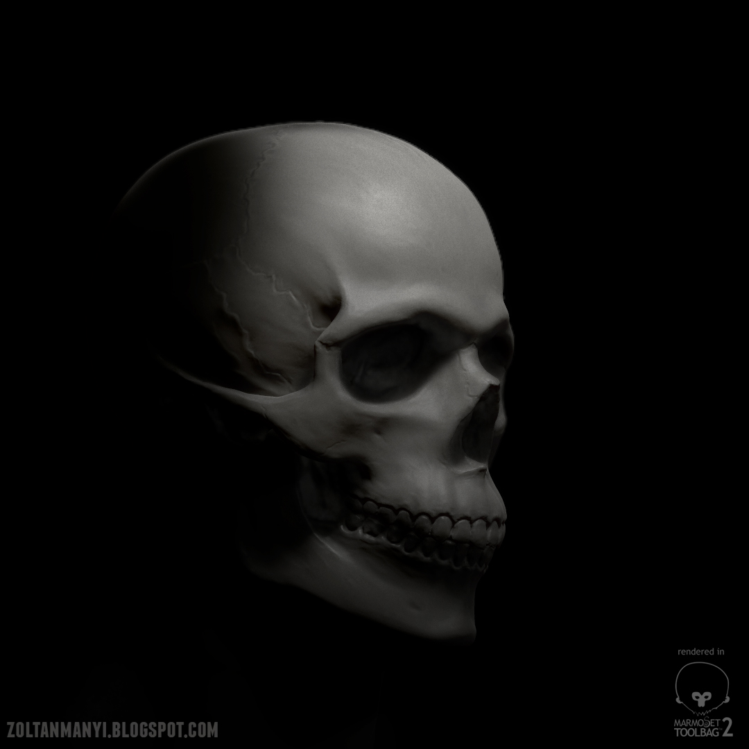 SkullMarmo_shot_05.jpg