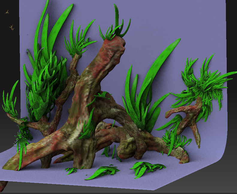 plants_4.jpg